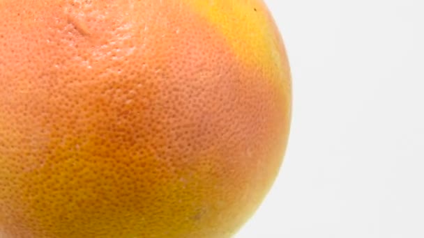 Πορτοκαλί γκρέιπφρουτ περιστρέφεται σε βρόχο — Αρχείο Βίντεο