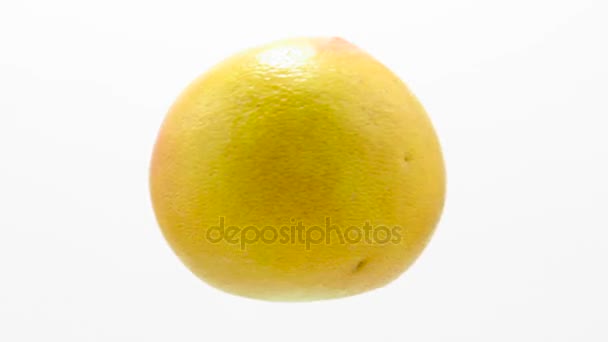 Oranje grapefruit draait in een lus — Stockvideo