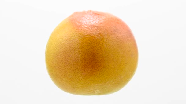 Апельсиновый грейпфрут вращается в петле — стоковое видео