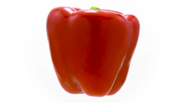 Röd paprika svävande i luften — Stockvideo