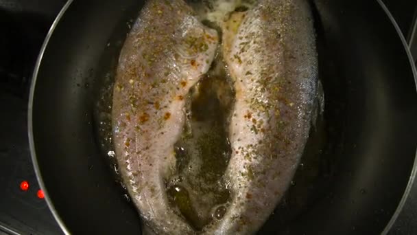 Gebakken forel in een pan — Stockvideo