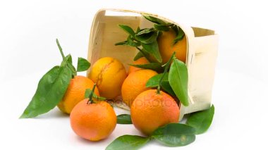 Sepet içinde yapraklarla mandalina   