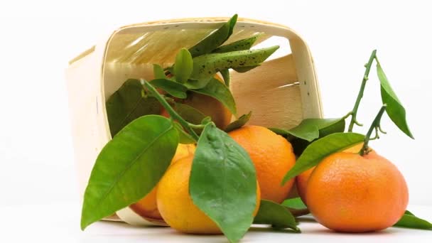 Mandarini con foglie — Video Stock