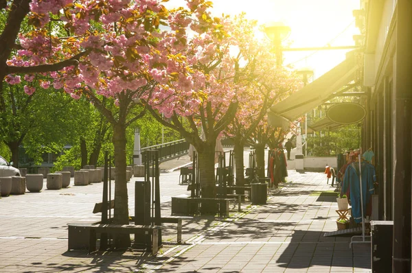 Sandvika Merkezi nde Günbatımı 