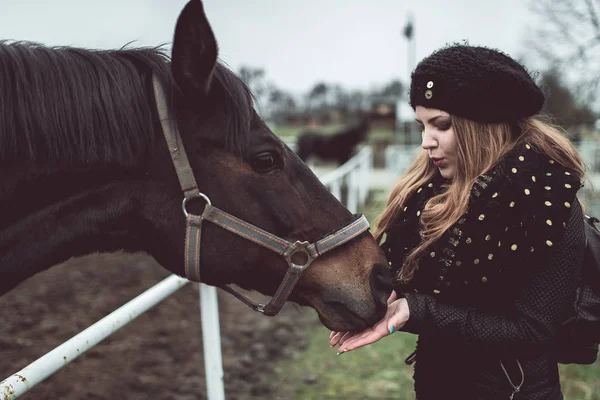Gyönyörű szőke lány eszik-ból egy kéz a nagy barna faji-ló — Stock Fotó