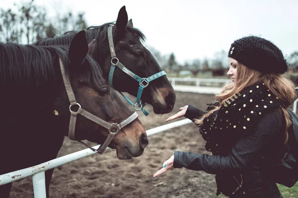 Krásná blond dívka živí z ruky velký hnědý kůň — Stock fotografie