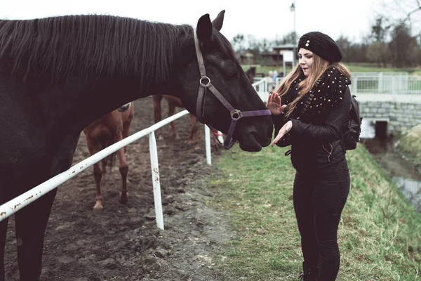 Krásná blond dívka živí z ruky koně — Stock fotografie