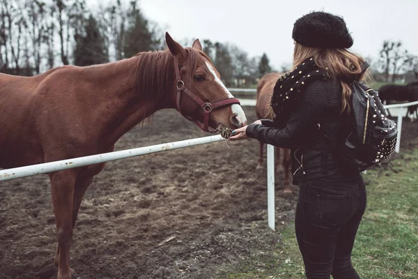 Piękna Blondynka kanały z ręki konia — Zdjęcie stockowe