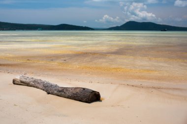 Eski ağaç kütüğü sahilde yatıyor. Koh Rong Samloem Saracen defne. Kamboçya, Asya. 