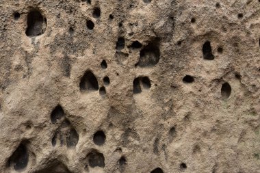 Erozyon tarafından yapılan küçük ve büyük delikli kum kaya yüzeyi  