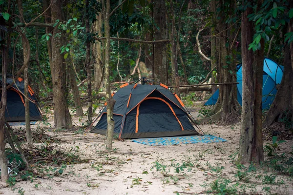 Ormanın ortasında siyah turistik çadır pichet
