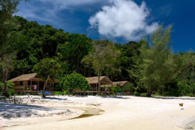 Güzel tropikal beach, Koh Rong Samloem Adası şık bungalov ile. Koh Rong Samloem. Kamboçya, Asya. 