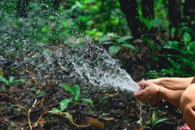 Kadın ormanda su sıçramasına hosepipe ile eğlenceli atma