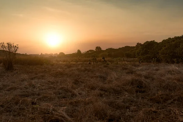 Sonnenuntergang Mit Schöner Wiese Hintergrund Der Provinz Banlung Kambodscha — Stockfoto