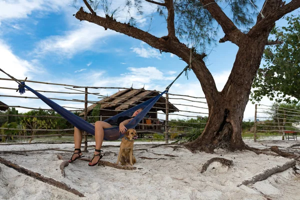 Woman Sleeping Hammock Dog Accompany Paradise Beach Koh Rong Samloem — Stock Photo, Image