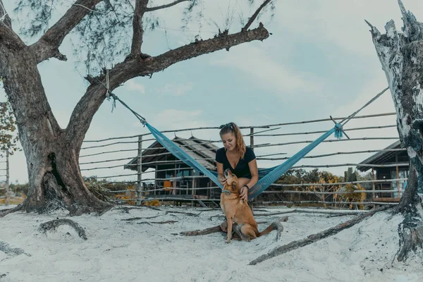 Woman siting on the hammock with dog accompany at the paradise beach of Koh Rong samloem island, Cambodia.