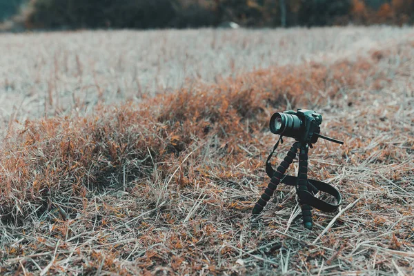 Cámara Dslr Pie Trípode Arroz Archivado Camboya Asia — Foto de Stock