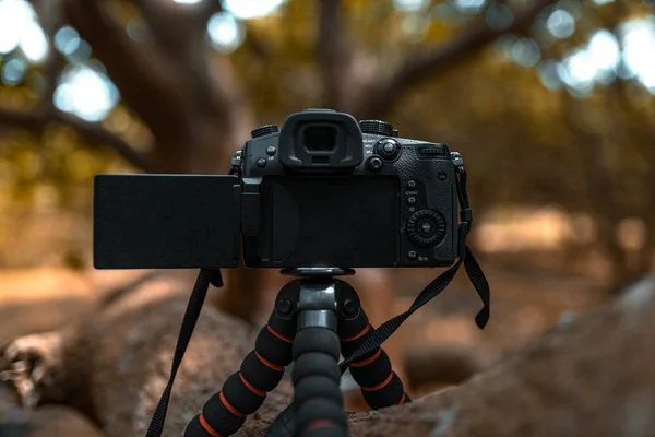 Moderna Cámara Dslr Pie Trípode Árbol — Foto de Stock