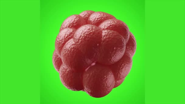 Animation Mutated Corona Virus Cell Green Isolated Background Rendering — Stock Video