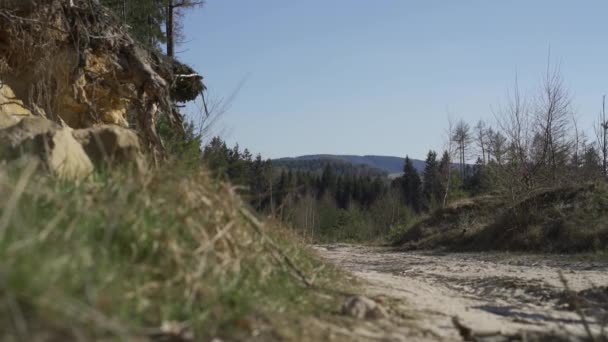 Smrkový Les Písečná Cesta Uprostřed Lesa Malé Kopce Pozadí Modrá — Stock video