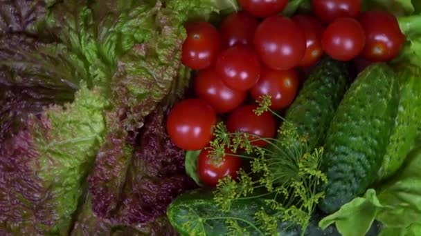 Pomodoro cetriolo lattuga aneto verdure. giradischi in senso orario — Video Stock