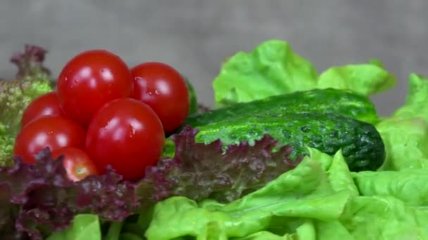 Овочі з помідорів, огірків та салатів. поворотний стіл за годинниковою стрілкою — стокове відео