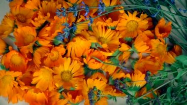 Taze kadife çiçeği lavanta ve kekik otlar aldı. Saat yönünün tersine döner