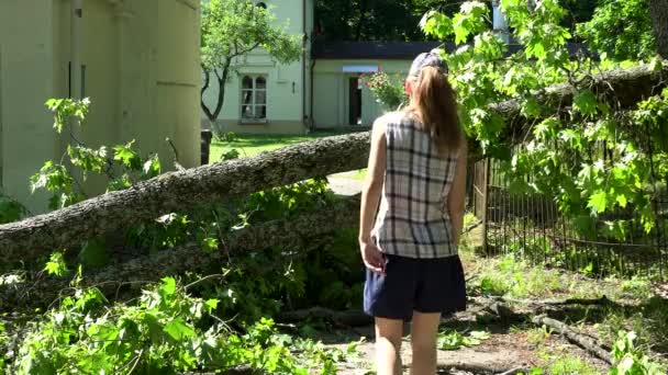 Vrouwelijke huiseigenaar lopen over omgevallen boom na storm. — Stockvideo
