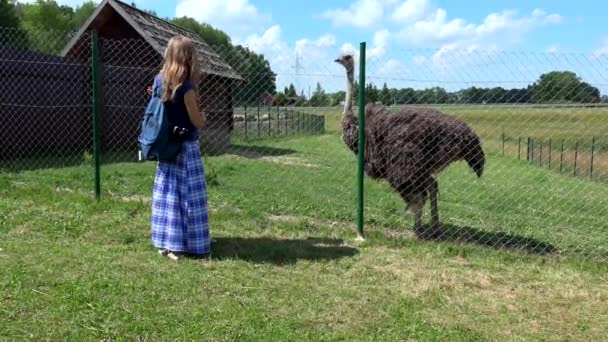 Woman holding toddler girl on hands near fenced ostrich bird in zoo — Stock Video