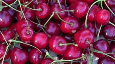 Kırmızı Kiraz meyveleri. Dönen pikap