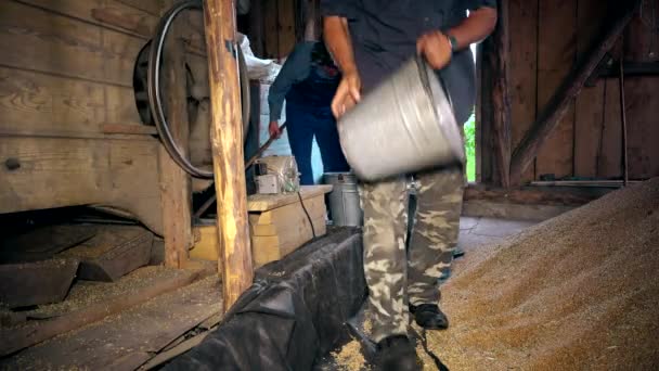 Villager men clean grain from chaff and straw with special agriculture machine — Stock Video