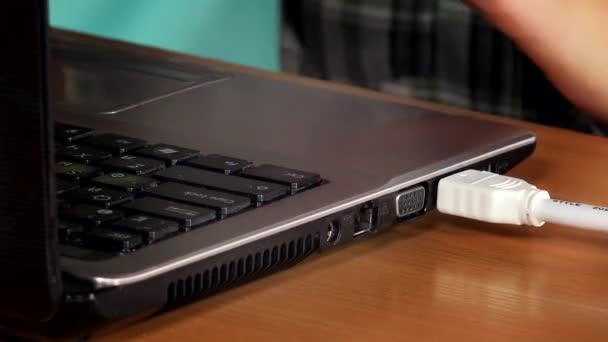 여성 손 노트북 컴퓨터에서 hdmi 디스플레이 케이블을 분리 합니다. 근접 촬영 — 비디오