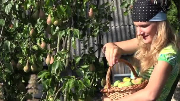 Посміхаючись садівник жінка працює з задоволенням в саду. Збирання плодів груші. 4-кілометровий — стокове відео