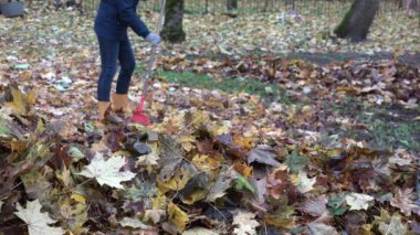 Bahçe kırmızı komisyon ile kadın yan yatan sonbahar yaprakları sarı çizmeli. 4k