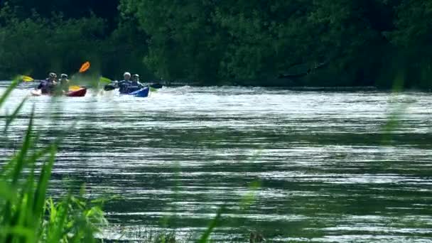 Dvojice kánoe kajak závodní sporty na divoké vodě řeky přes rákosí. — Stock video