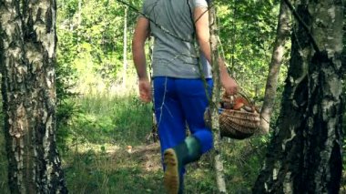 Adam mantar toplar ve sepet huş ağacı ağaç gövdesi yakınındaki koyardım