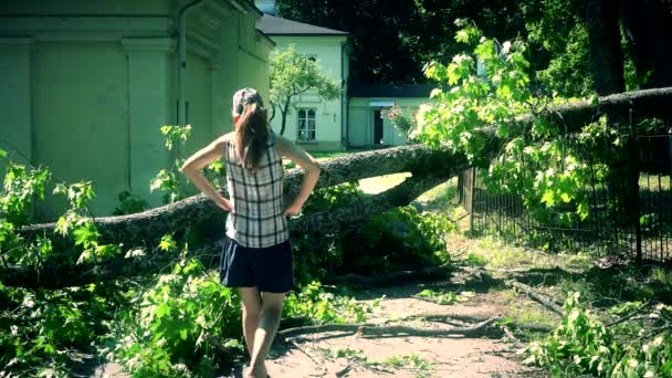 Bezorgd vrouw klimmen over omgevallen boom op huis tuin ingang. — Stockvideo