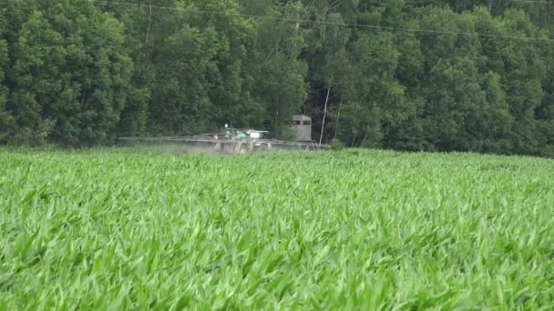 Pulvérisation de tracteur fertiliser le champ de maïs avec des pesticides près de la forêt. 4K — Video