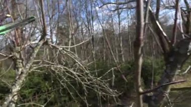 İlkbaharda ağaçların budama secateurs elle. Taşınabilir portre vurdu.