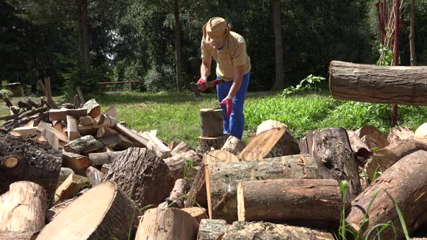 Homem cortar madeira com machado quintal. Preparação de lenha para o inverno. 4K — Vídeo de Stock