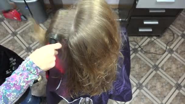 Cabeleireiro usando secador no cabelo molhado da mulher. 4K — Vídeo de Stock