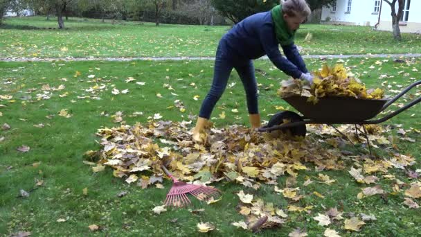 Werknemer meisje barrow kar te laden en weg dragen in huis tuin. 4k — Stockvideo