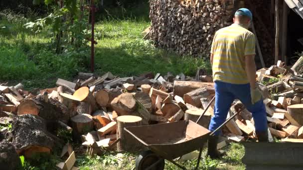 Joven hombre trabajador fuerte carga madera picada a carretilla oxidada. 4K — Vídeo de stock