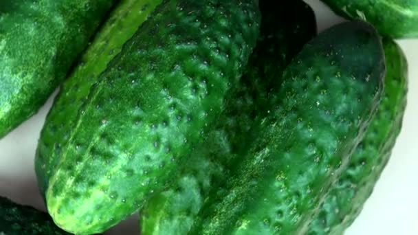 Ripe cucumbers vegetables. Organic food. clockwise turntable — Stock Video