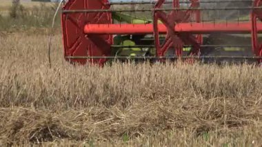 hasat Mısır gevreği kırpma alanı iş yerinde yaz birleştirin. 4k