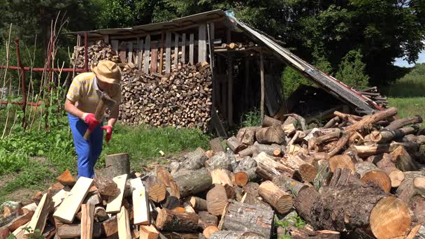 Pracownika przygotować drewno opałowe do zimnej pory roku. 4k — Wideo stockowe