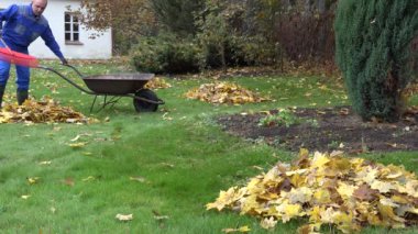 Erkek işçi boş barrow ve bununla içinde ev bahçesinde bırakır yük taşımak. 4k