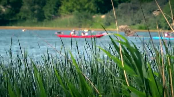 Paar kano's kajaks racing sporten op wild water river door riet. — Stockvideo