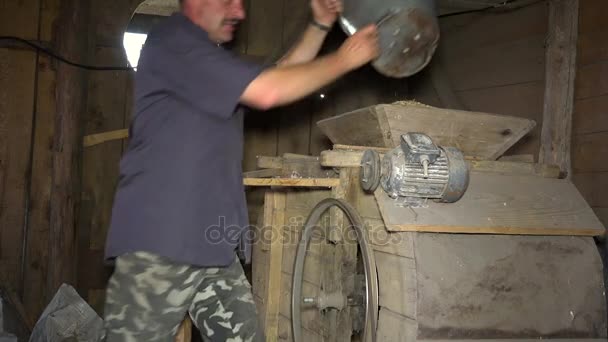 El hombre vierte el grano de avena cosechado en seco en la máquina de tamizado retro con cubo — Vídeo de stock