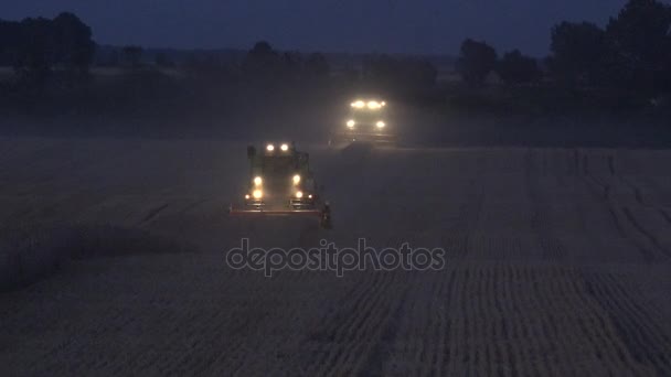 Mähdrescher mit Lichtern dreschen Weizenfeld in Bauernhof am Abend. 4k — Stockvideo